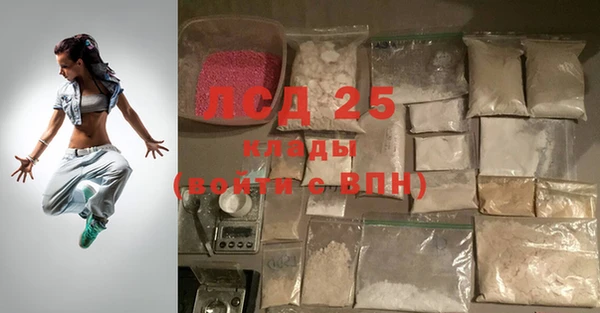 стафф Сосновоборск