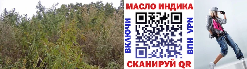 Купить где  Астрахань  ТГК концентрат 