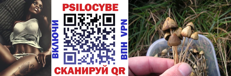 Псилоцибиновые грибы ЛСД  Купить  Астрахань 